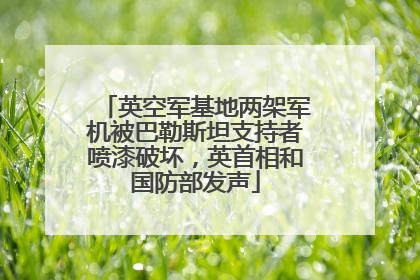 英空军基地两架军机被巴勒斯坦支持者喷漆破坏，英首相和国防部发声