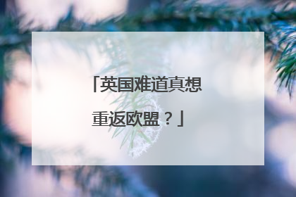 英国难道真想重返欧盟？