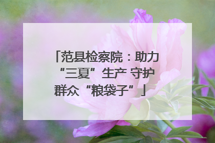范县检察院：助力“三夏”生产 守护群众“粮袋子”
