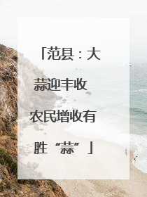 范县：大蒜迎丰收 农民增收有胜“蒜”