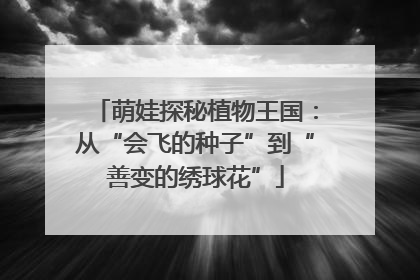 萌娃探秘植物王国：从“会飞的种子”到“善变的绣球花”