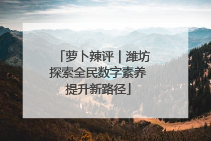 萝卜辣评｜潍坊探索全民数字素养提升新路径