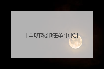 董明珠卸任董事长