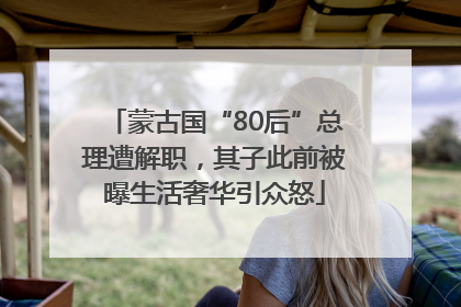 蒙古国“80后”总理遭解职，其子此前被曝生活奢华引众怒