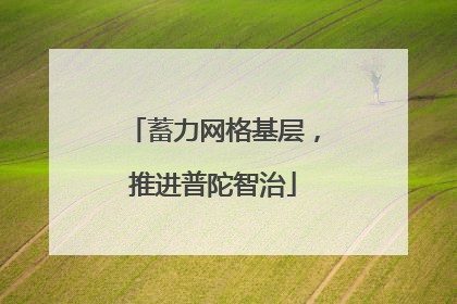 蓄力网格基层，推进普陀智治