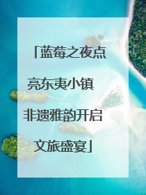 蓝莓之夜点亮东夷小镇 非遗雅韵开启文旅盛宴
