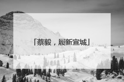 蔡毅，履新宣城