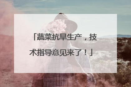 蔬菜抗旱生产，技术指导意见来了！