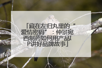 藏在左归丸里的“爱情密码”：仲景宛西制药如何用产品IP讲好品牌故事