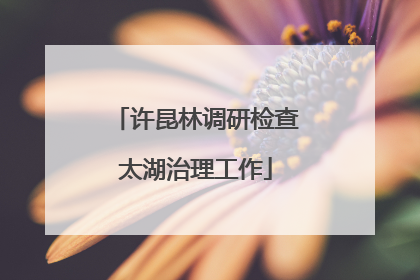 许昆林调研检查太湖治理工作