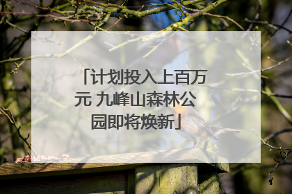 计划投入上百万元 九峰山森林公园即将焕新