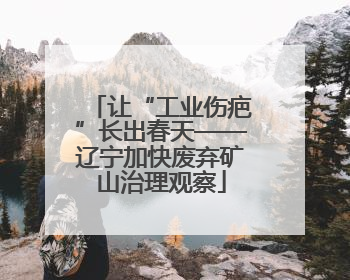 让“工业伤疤”长出春天——辽宁加快废弃矿山治理观察