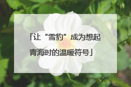 让“雪豹”成为想起青海时的温暖符号