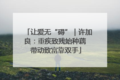 让爱无“碍”｜许加良：重疾致残始种藕 带动致富靠双手