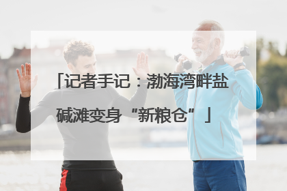 记者手记：渤海湾畔盐碱滩变身“新粮仓”