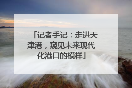 记者手记：走进天津港，窥见未来现代化港口的模样