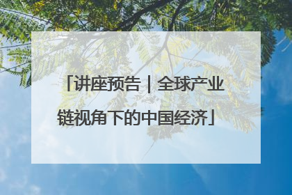 讲座预告｜全球产业链视角下的中国经济