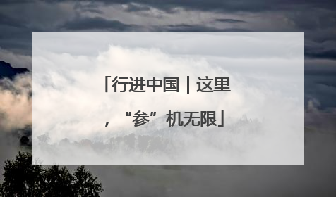 行进中国｜这里，“参”机无限