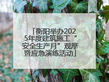 衡阳举办2025年度建筑施工“安全生产月”观摩暨应急演练活动