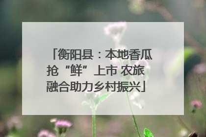 衡阳县：本地香瓜抢“鲜”上市 农旅融合助力乡村振兴