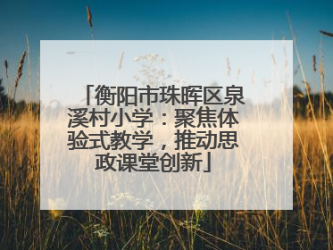衡阳市珠晖区泉溪村小学：聚焦体验式教学，推动思政课堂创新