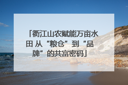 衢江山农赋能万亩水田 从“粮仓”到“品牌”的共富密码