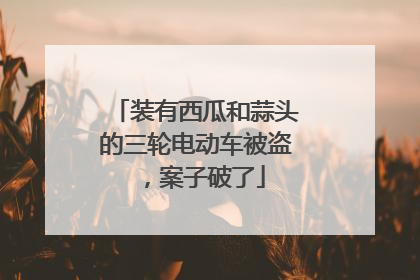 装有西瓜和蒜头的三轮电动车被盗，案子破了