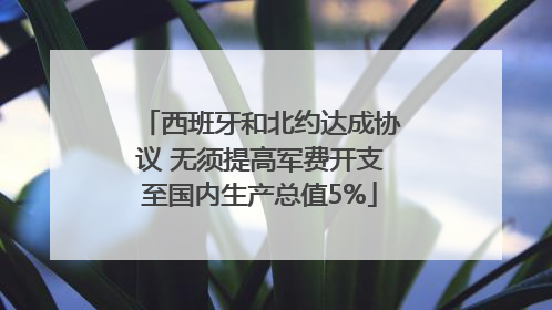 西班牙和北约达成协议 无须提高军费开支至国内生产总值5%