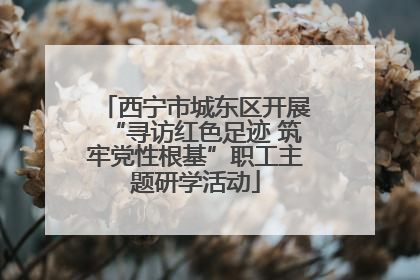 西宁市城东区开展“寻访红色足迹 筑牢党性根基”职工主题研学活动