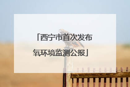 西宁市首次发布氧环境监测公报