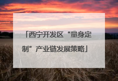 西宁开发区“量身定制”产业链发展策略