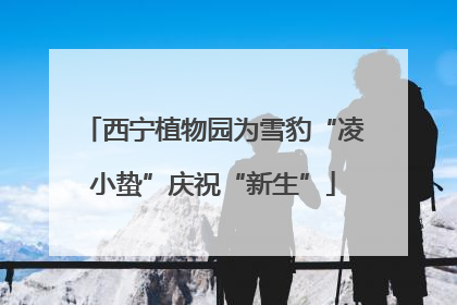 西宁植物园为雪豹“凌小蛰”庆祝“新生”