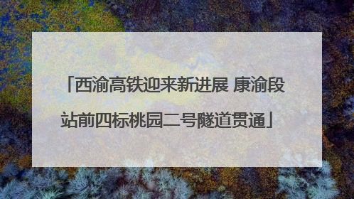 西渝高铁迎来新进展 康渝段站前四标桃园二号隧道贯通