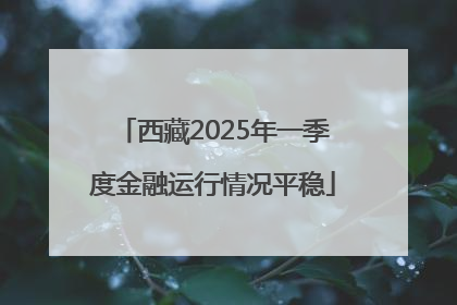 西藏2025年一季度金融运行情况平稳