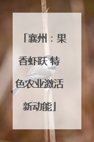 襄州：果香虾跃 特色农业激活新动能