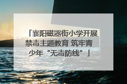 襄阳磁器街小学开展禁毒主题教育 筑牢青少年“无毒防线”