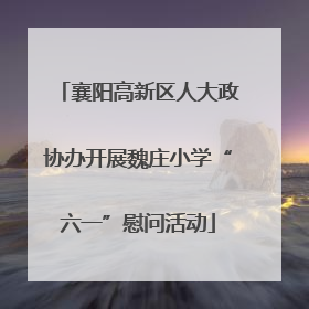 襄阳高新区人大政协办开展魏庄小学“六一”慰问活动