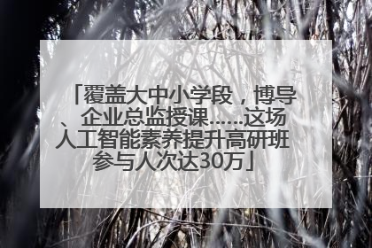 覆盖大中小学段，博导、企业总监授课……这场人工智能素养提升高研班参与人次达30万