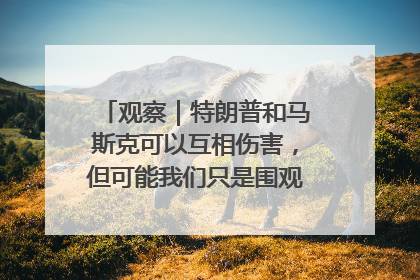 观察｜特朗普和马斯克可以互相伤害，但可能我们只是围观了一场闹剧