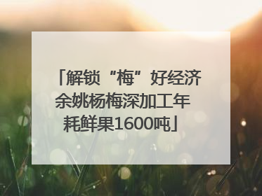 解锁“梅”好经济 余姚杨梅深加工年耗鲜果1600吨