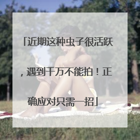 近期这种虫子很活跃，遇到千万不能拍！正确应对只需一招