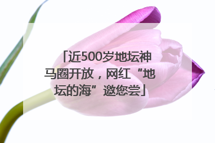 近500岁地坛神马圈开放，网红“地坛的海”邀您尝