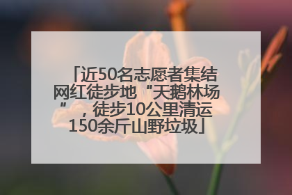 近50名志愿者集结网红徒步地“天鹅林场”，徒步10公里清运150余斤山野垃圾