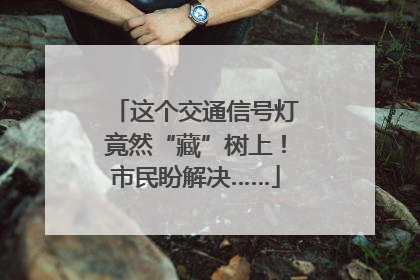 这个交通信号灯竟然“藏”树上！市民盼解决……