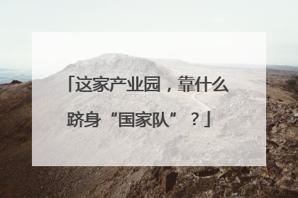 这家产业园，靠什么跻身“国家队”？