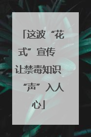 这波“花式”宣传 让禁毒知识“声”入人心
