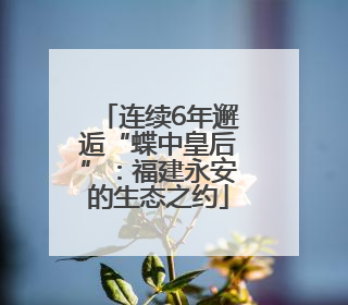 连续6年邂逅“蝶中皇后”：福建永安的生态之约