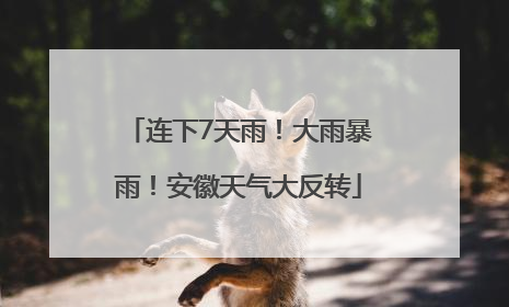 连下7天雨！大雨暴雨！安徽天气大反转