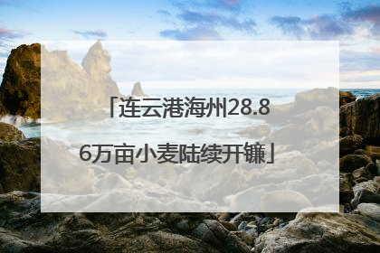 连云港海州28.86万亩小麦陆续开镰