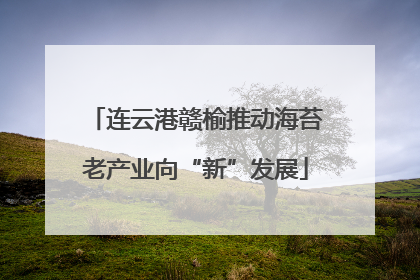 连云港赣榆推动海苔老产业向“新”发展